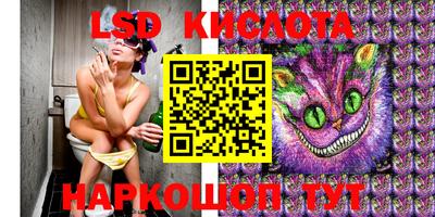 гидра Вязники